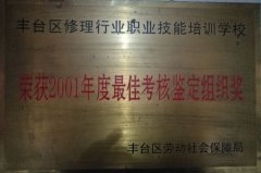 艹我逼逼
